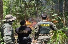 <a href='/modules/news/article.php?storyid=123538'>Ibama ter