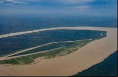 <a href='/modules/news/article.php?storyid=123466'>MapBiomas: Desmatamento cai em todos os biomas do Brasil </a>